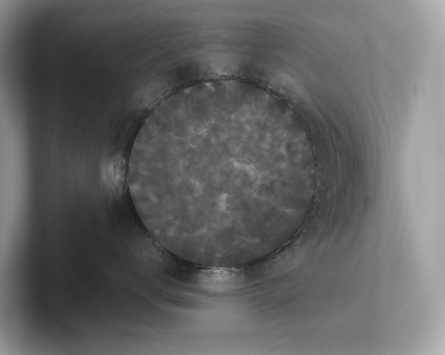 X0000101390672200807211014