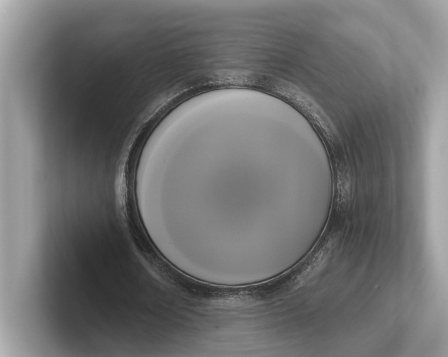 X0000101390674200807211013