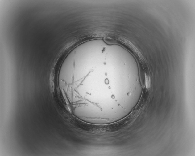 X0000101390675200807211013