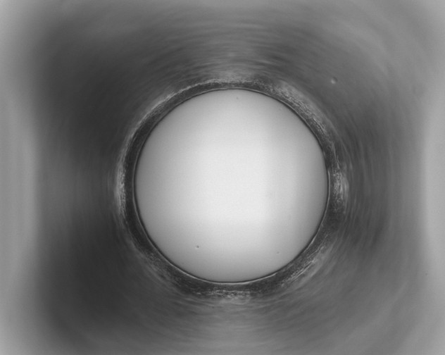 X0000101390676200807211013