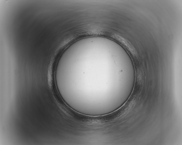 X0000101390677200807211013