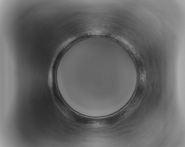 X0000101390678200807211013