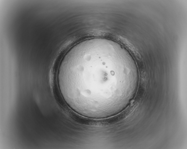 X0000101390679200807211013