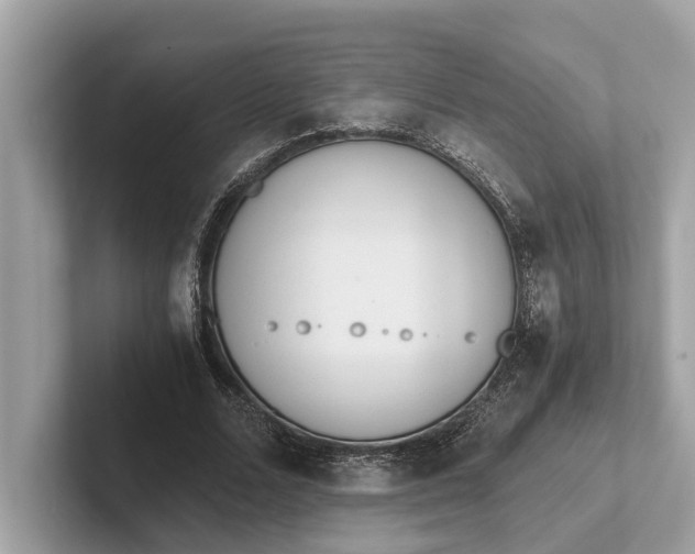 X0000101390680200807211013