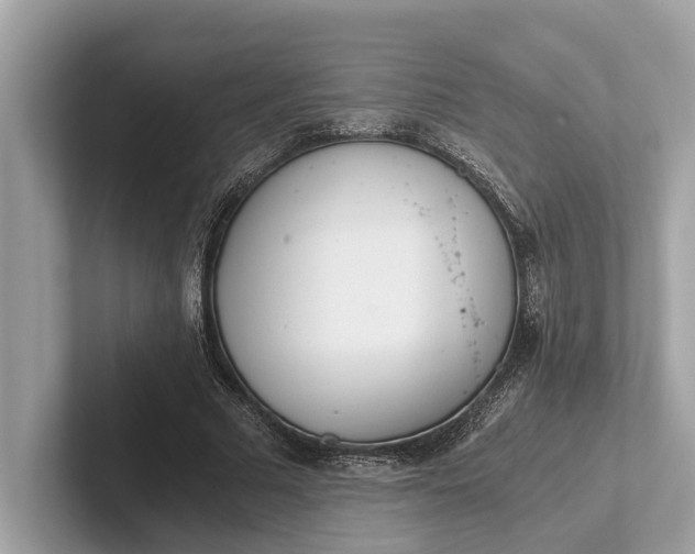 X0000101390681200807211013