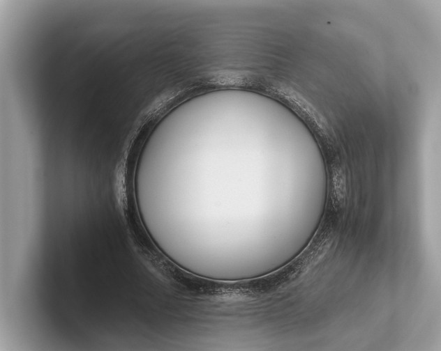 X0000101390682200807211013