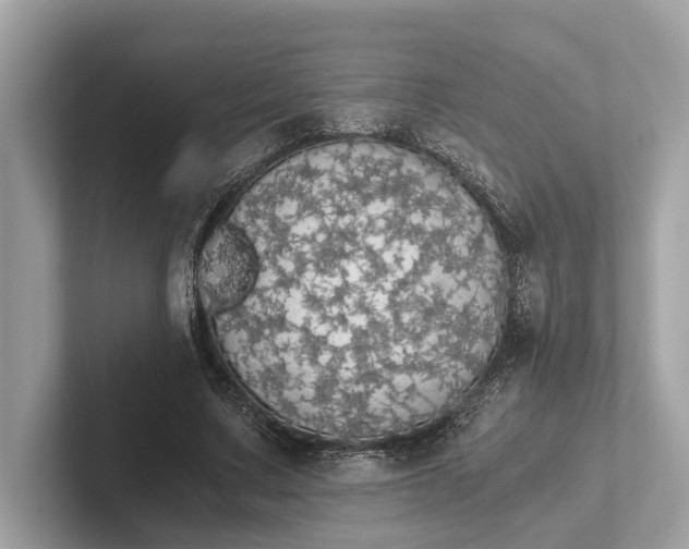 X0000101390683200807211013