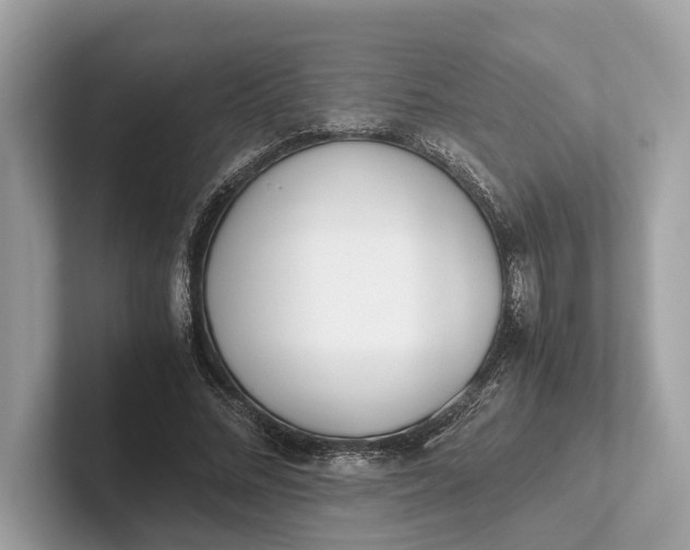 X0000101390684200807211013