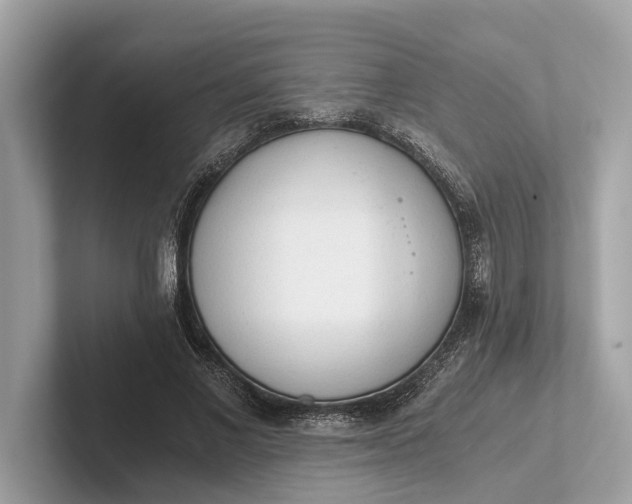 X0000101390685200807211013