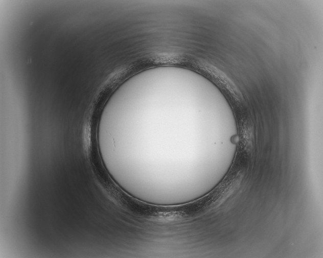 X0000101390686200807211013