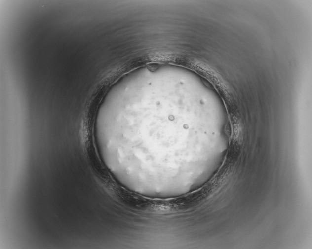 X0000101390687200807211013