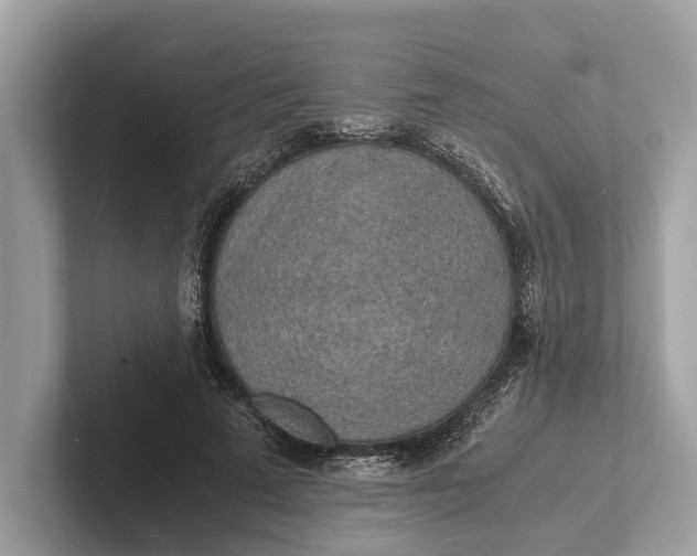 X0000101390689200807211013