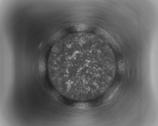 X0000101390691200807211013