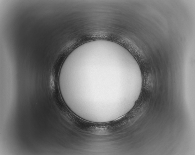 X0000101390692200807211013