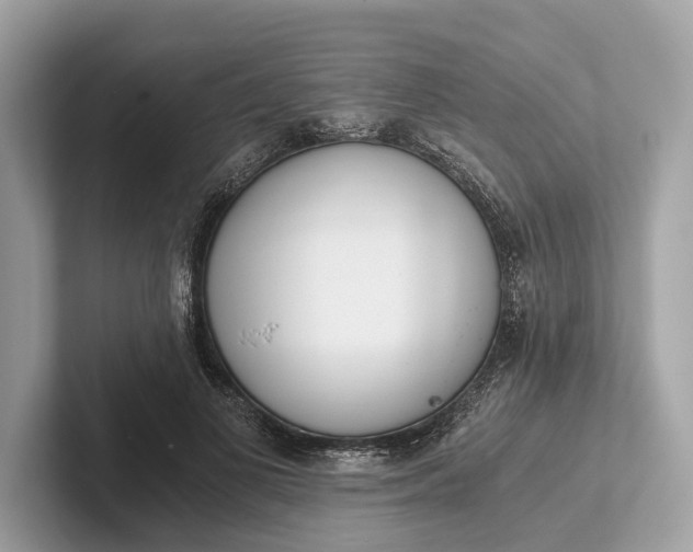 X0000101390693200807211013