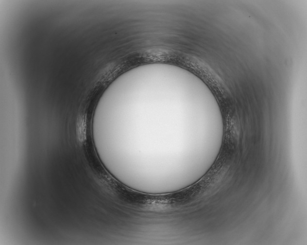 X0000101390694200807211013