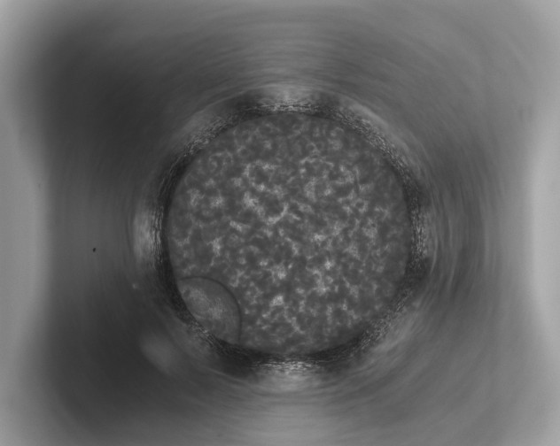 X0000101390695200807211013