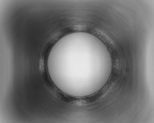 X0000101390696200807211013