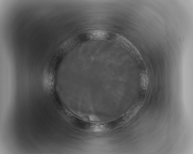 X0000101390701200807211013