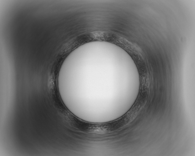 X0000101390702200807211013