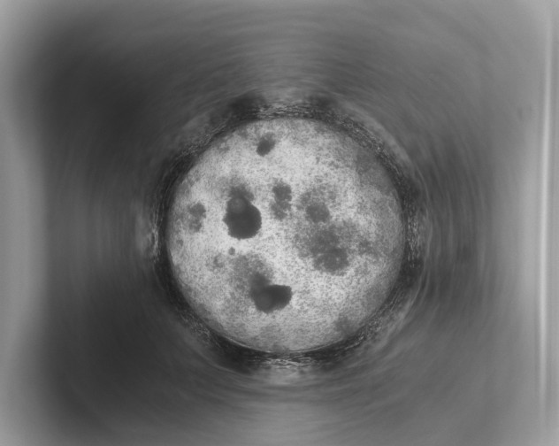 X0000101390703200807211013