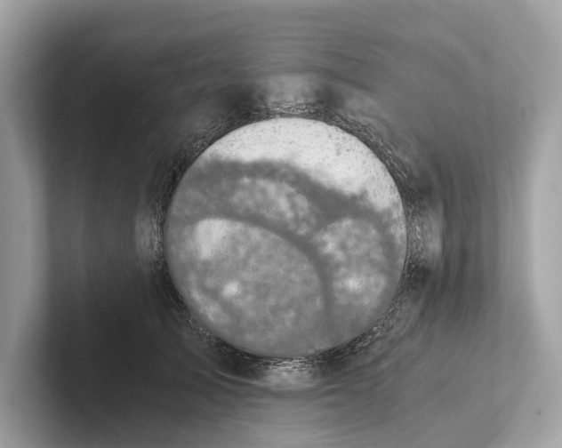 X0000101390705200807211013