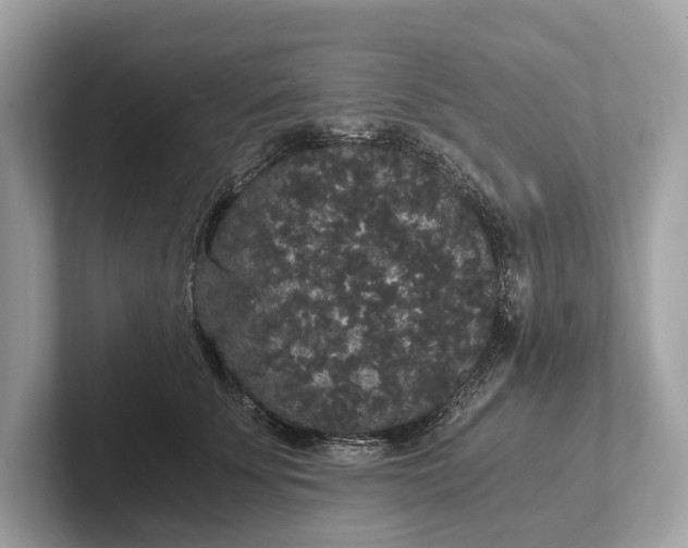 X0000101390707200807211013