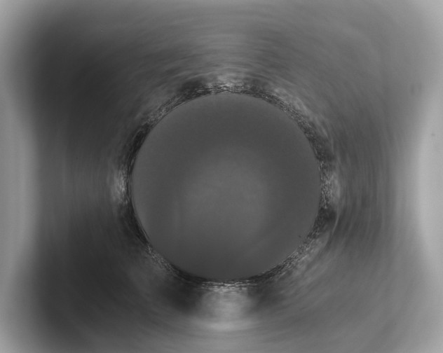 X0000101390709200807211013