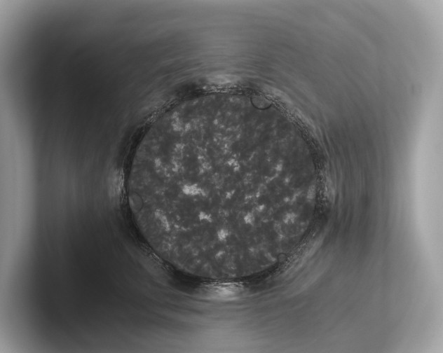 X0000101390711200807211013