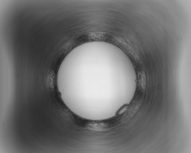 X0000101390712200807211013