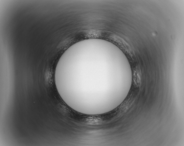 X0000101390714200807211013