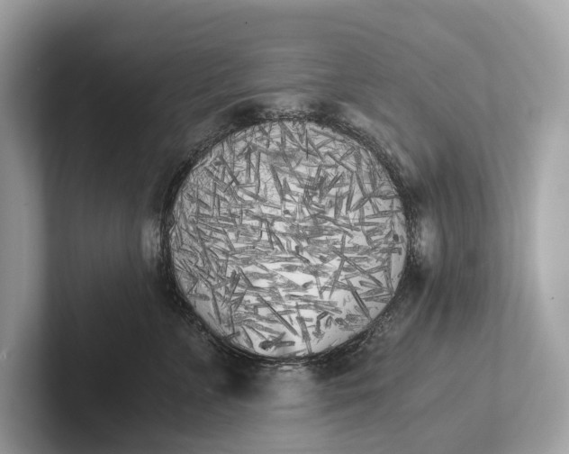 X0000101390715200807211013