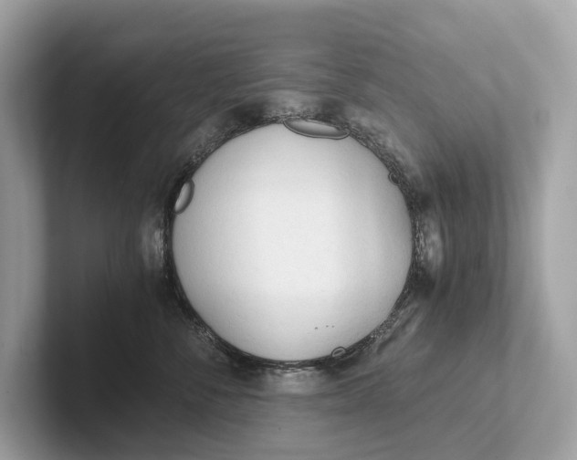 X0000101390716200807211013