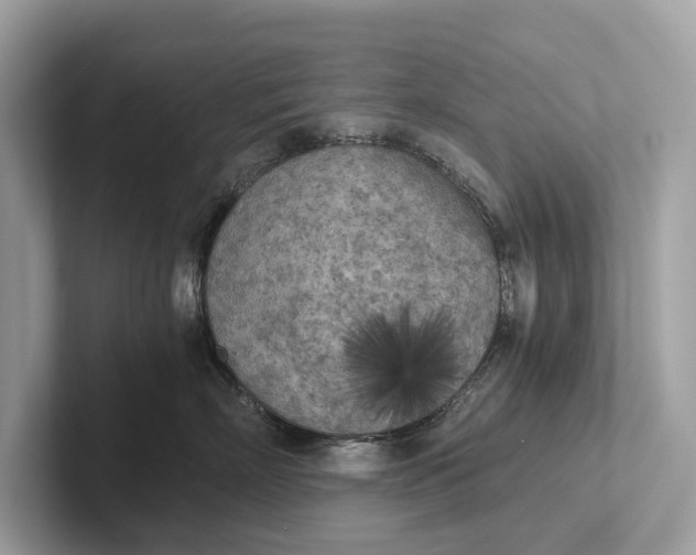 X0000101390718200807211013