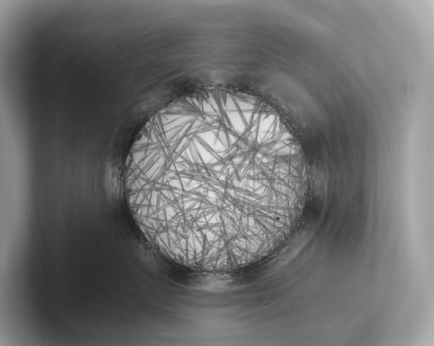 X0000101390719200807211013