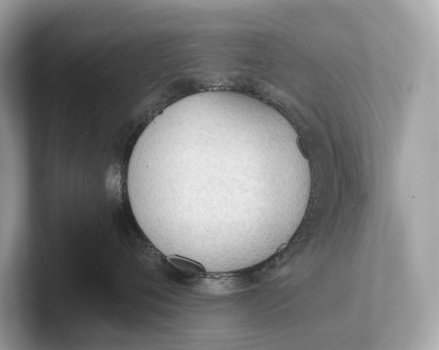 X0000101390720200807211013