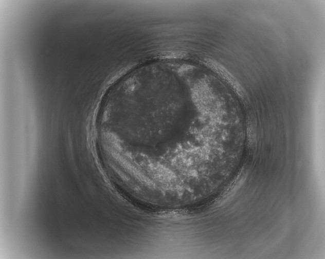 X0000101390721200807211012