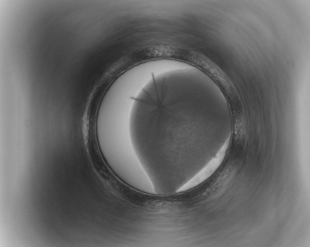 X0000101390722200807211012