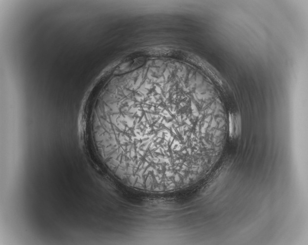 X0000101390723200807211012