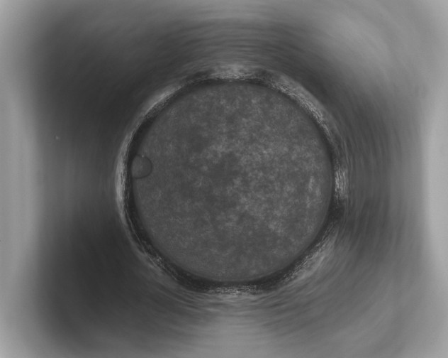 X0000101390724200807211012