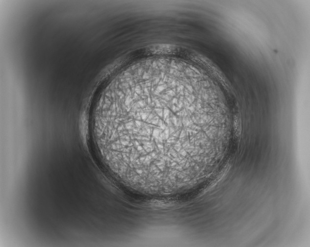 X0000101390725200807211012