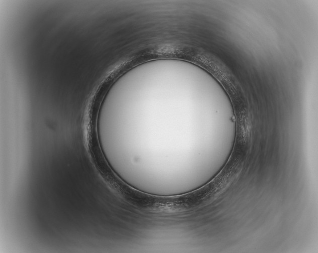 X0000101390728200807211012