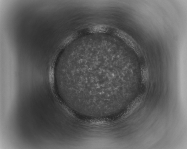 X0000101390729200807211012