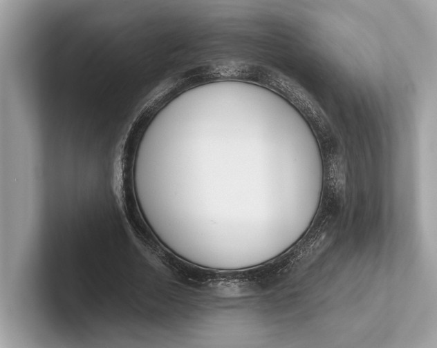 X0000101390730200807211012