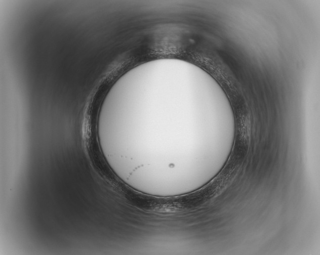 X0000101390731200807211012