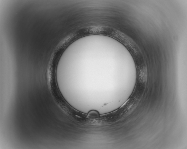 X0000101390732200807211012