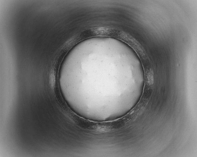 X0000101390733200807211012