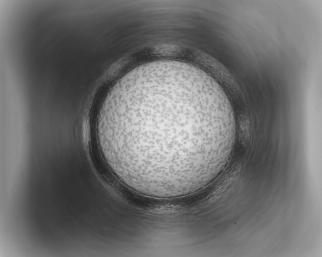 X0000101390734200807211012