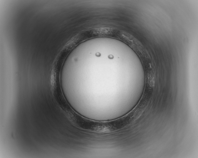 X0000101390735200807211012