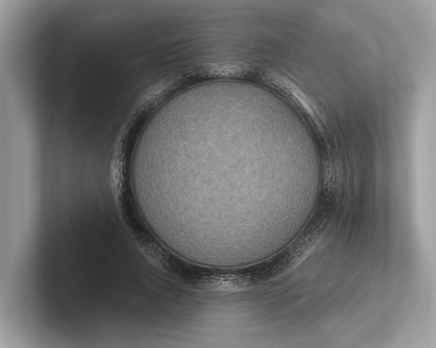 X0000101390736200807211012